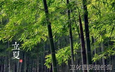 立夏的民俗文化与养生