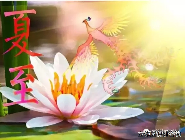 夏至的养生与民俗文化