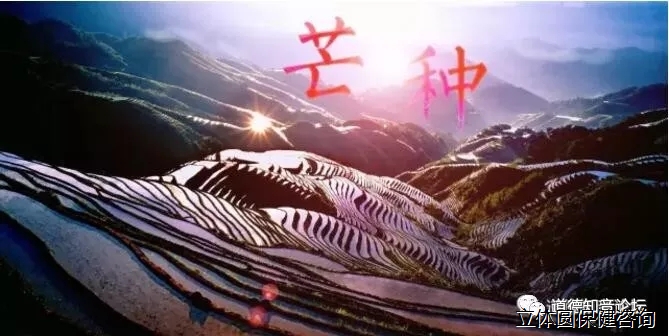 芒种的民俗文化与养生